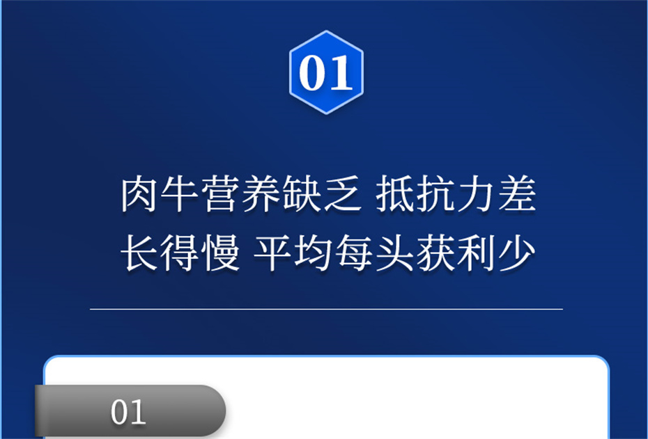 尊龙凯时人生就是博动保牛饲料添加剂肉牛多矿产品介绍