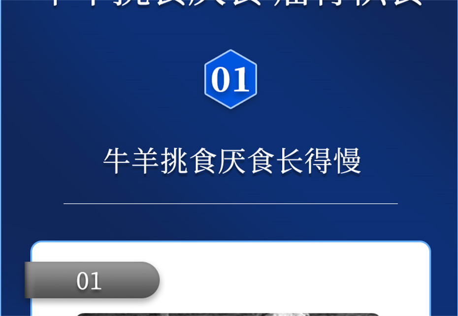 尊龙凯时人生就是博动保牛羊饲料添加剂牛羊壮膘宝产品介绍