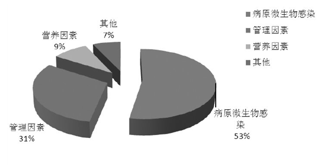 猪饲料添加剂