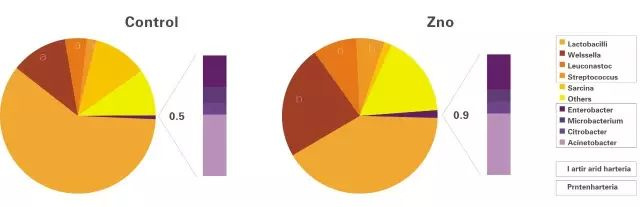药用剂量氧化锌对断奶仔猪肠道微生物分布的影响