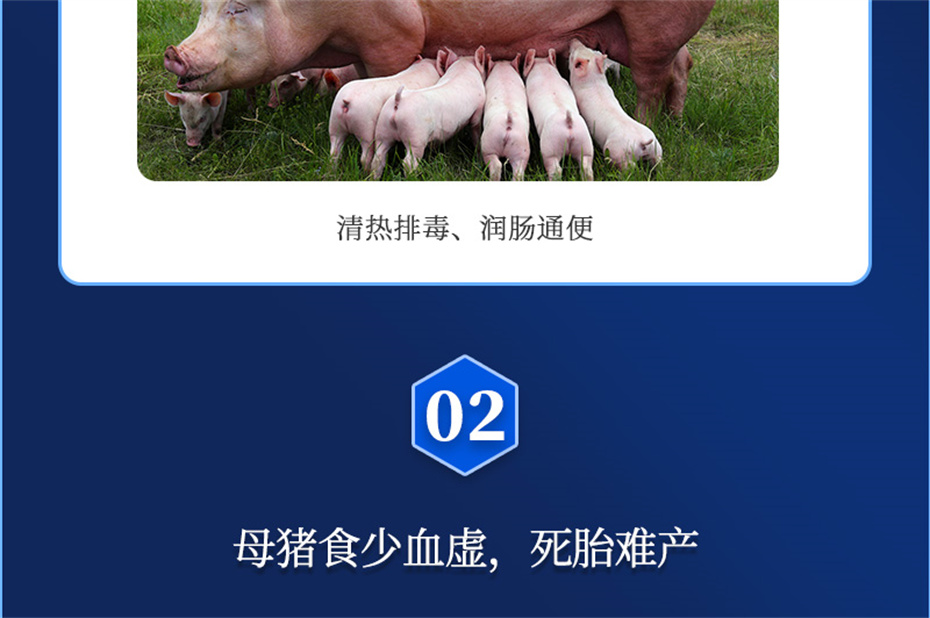 尊龙凯时人生就是博动保猪饲料添加剂母润通产品介绍