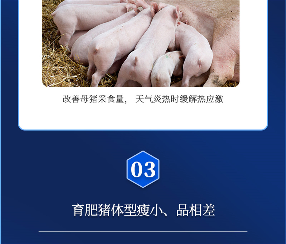 尊龙凯时人生就是博动保猪饲料添加剂母润通产品介绍