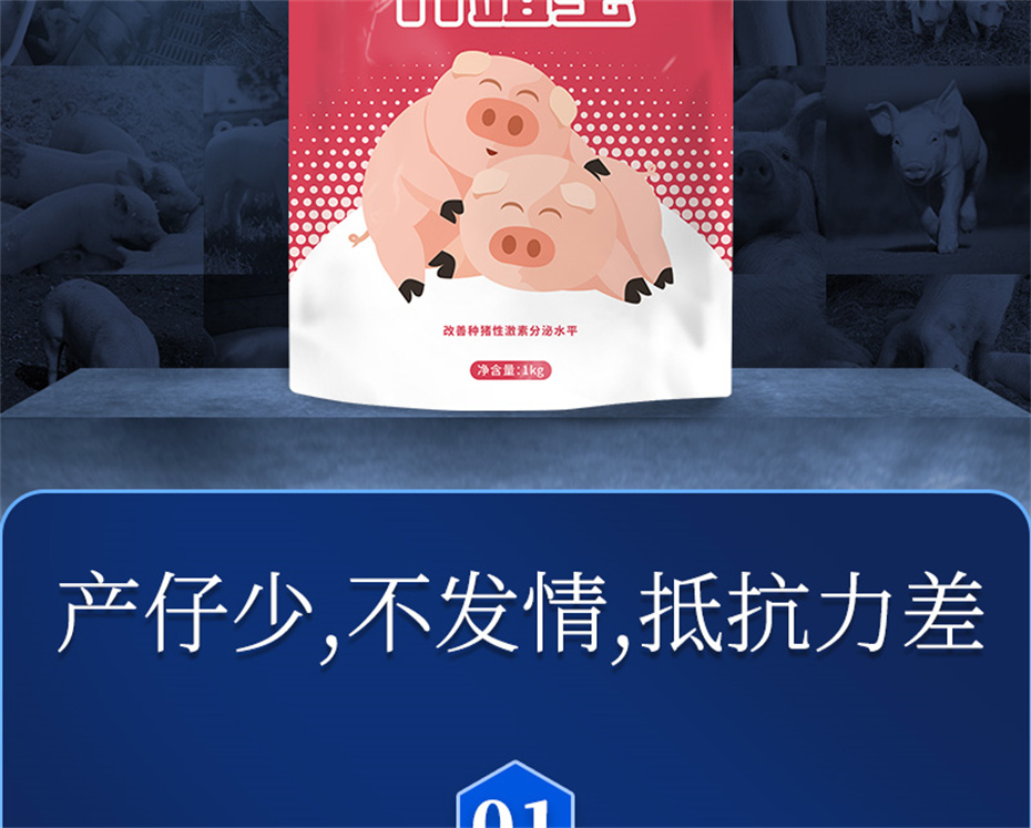尊龙凯时人生就是博动保猪饲料添加剂升殖宝产品介绍