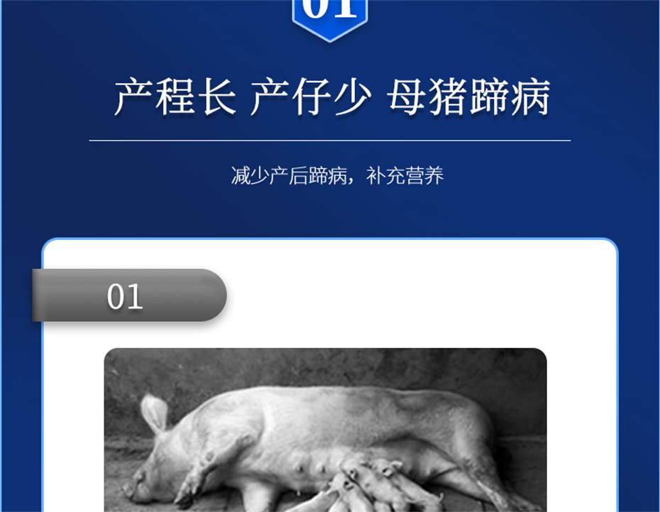 尊龙凯时人生就是博动保猪饲料添加剂升殖宝产品介绍