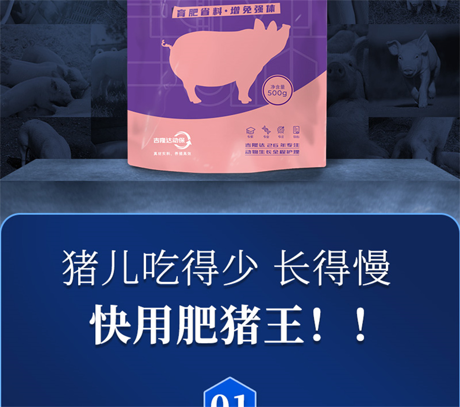 尊龙凯时人生就是博动保猪饲料添加剂肥猪王产品介绍