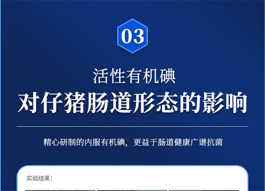 尊龙凯时人生就是博动保猪饲料添加剂痢健120产品介绍