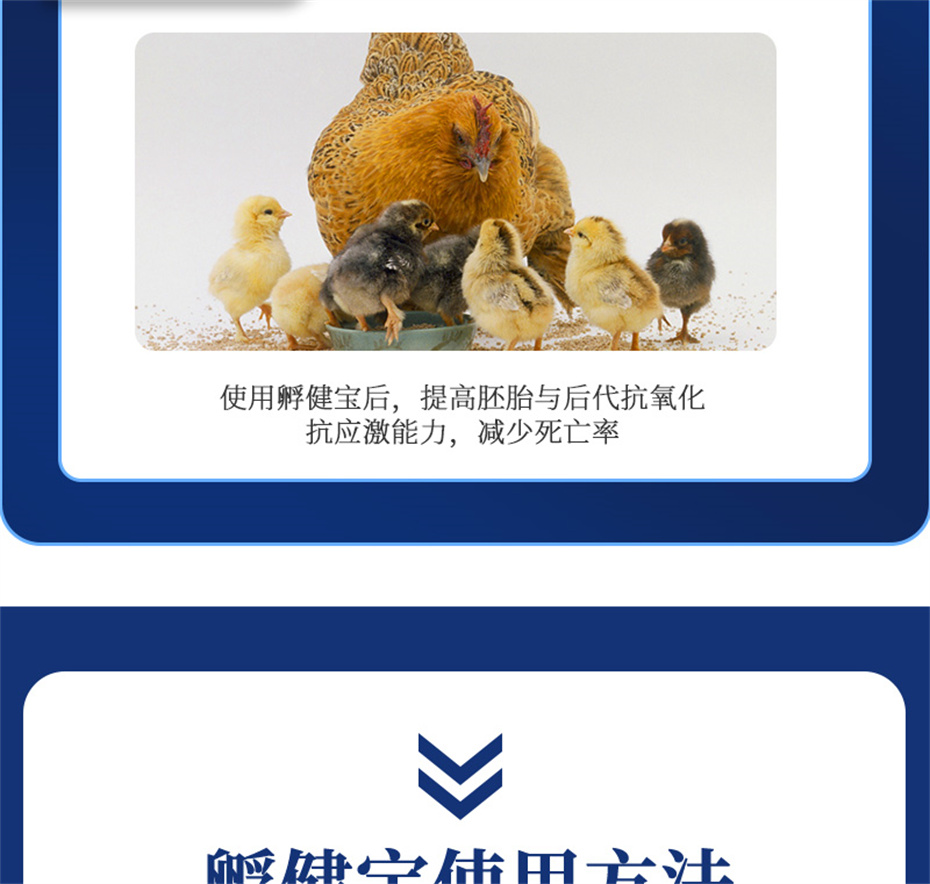 尊龙凯时人生就是博动保禽饲料添加剂孵健宝产品介绍