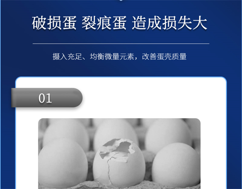 尊龙凯时人生就是博动保禽饲料添加剂靓蛋宝产品介绍