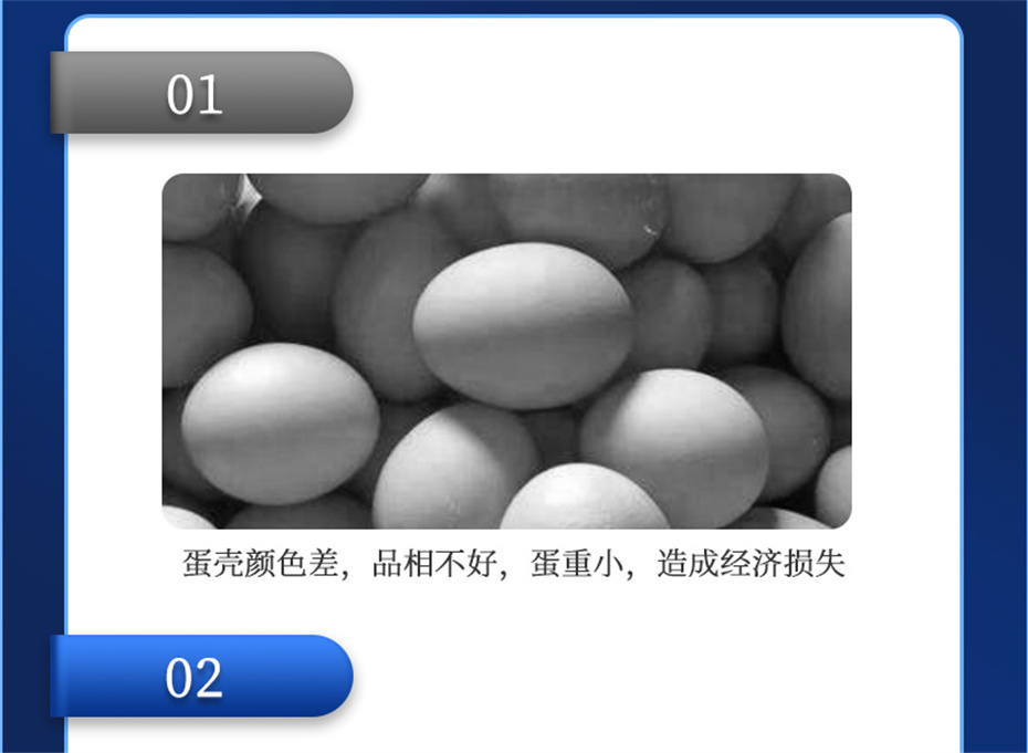 尊龙凯时人生就是博动保禽饲料添加剂靓蛋宝产品介绍
