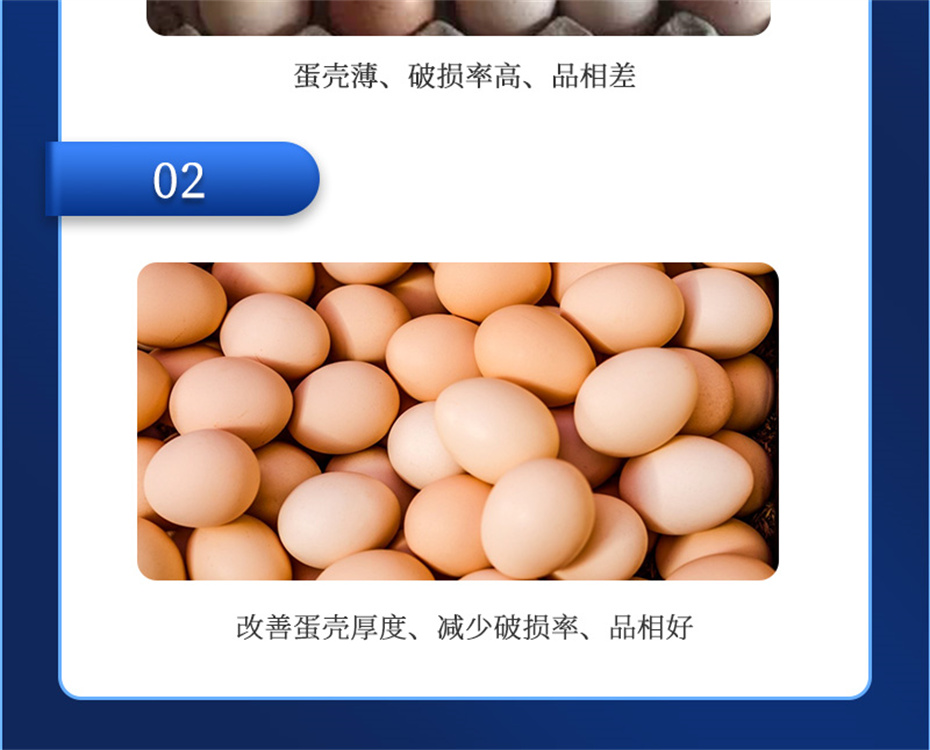 尊龙凯时人生就是博动保禽饲料添加剂强壳宝产品介绍