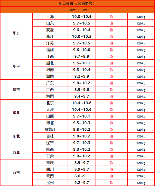 全国猪价行情