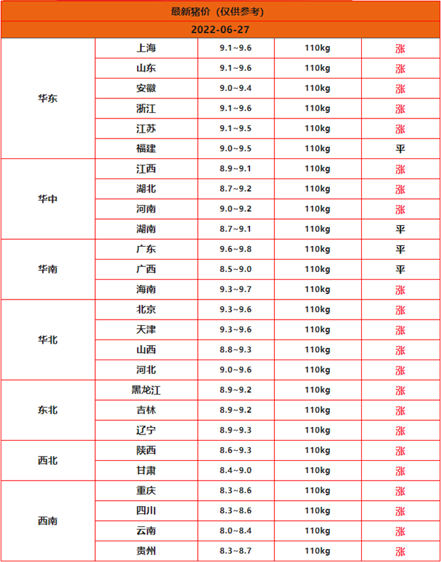 全国猪价