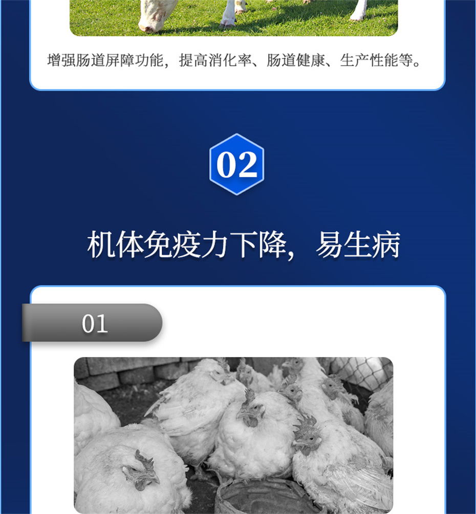 尊龙凯时人生就是博动保饲料添加剂排毒增免肽产品介绍