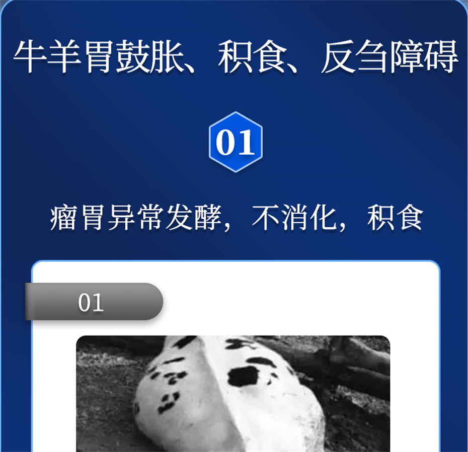 尊龙凯时人生就是博动保牛羊饲料添加剂胃兴plus产品介绍