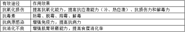 鸡养胃途径介绍